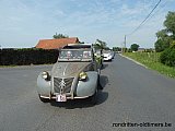 Zandlemig Vlaanderen